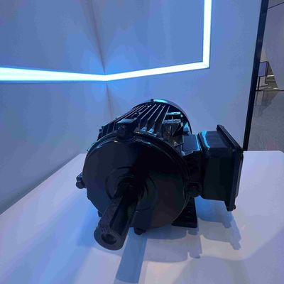 Dust Proof ISO9001 High Efficiency Electric Motor For Remedy Apparatus