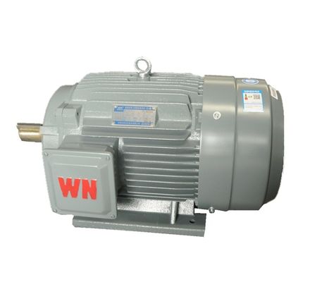 Alternating Current 450V Three Phase Electric Motor