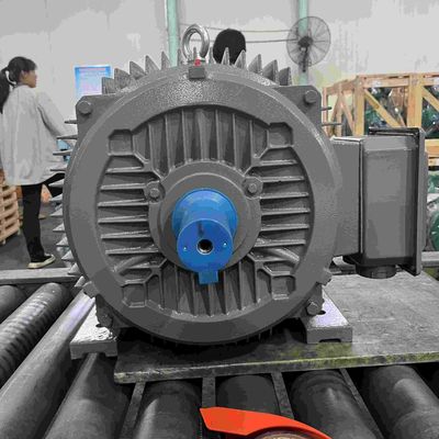 Accurate Braking High Efficiency Electric Motor With ISO9001