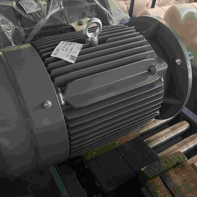 Explosion Proof High Efficiency 3 Phase Electric Motor For Cement Kiln