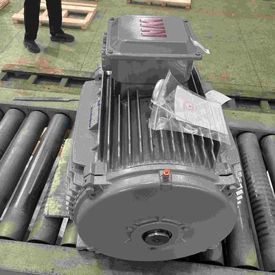 IP65 Three Phase Electric Motors For Pharmaceutical Low Voltage
