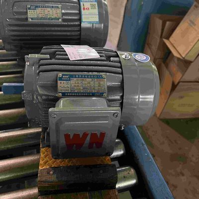 IE3 Medium Voltage Induction Motor Low Speed ROHS Cast Iron