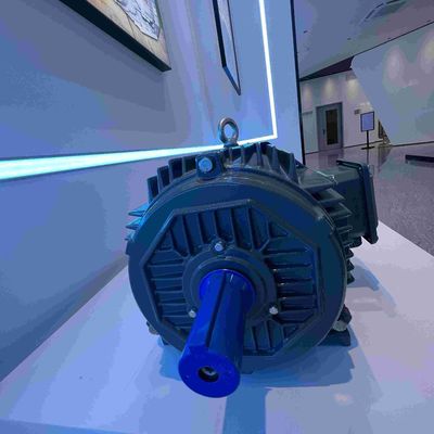 IE5 50HZ Medium Voltage High Efficiency Electric Motor