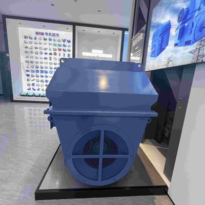 IE5 50HZ Medium Voltage High Efficiency Electric Motor