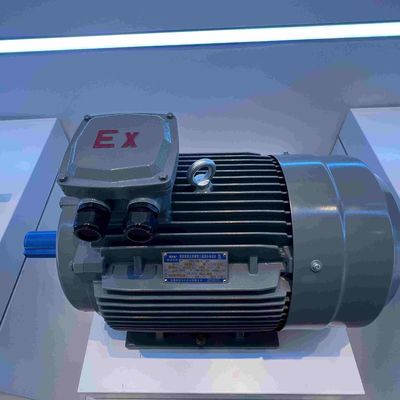 3450 Rpm Medium Voltage Induction Motor High Efficient ROHS