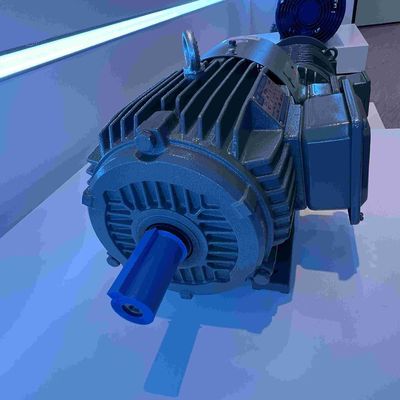 3450 Rpm Medium Voltage Induction Motor High Efficient ROHS