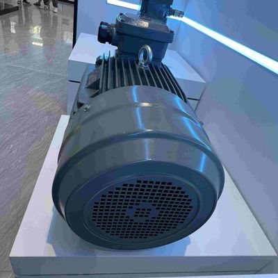 IE3 Medium Voltage Induction Motor Low Speed ROHS Cast Iron