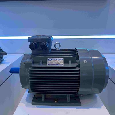 Medium And High Voltage Induction Motors 6KV Waterproof