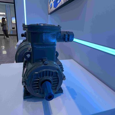 Carbon Steel Medium Voltage Induction Motor Three Phase