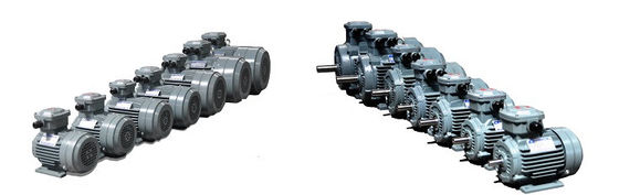 Low Vibration Low Voltage Explosive Proof Electric Motors For Multiple Purposes