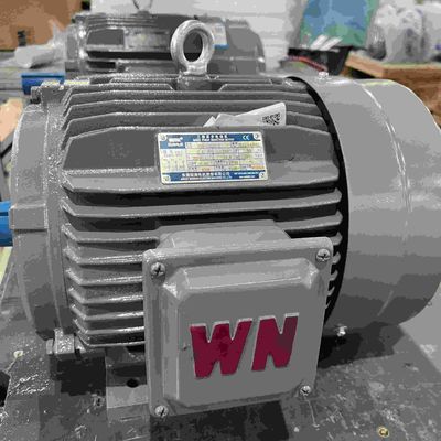 Low Voltage Water Resistant Explosion Proof Electric Motors With CE Certificate