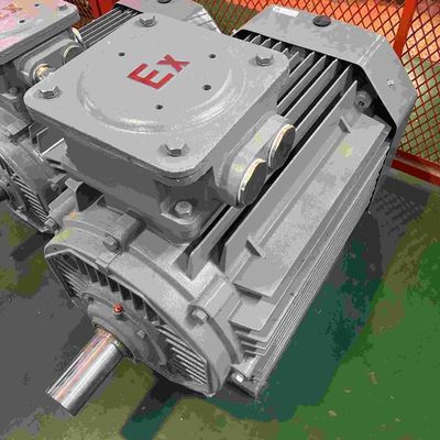 Low Voltage Water Resistant Explosion Proof Electric Motors With CE Certificate