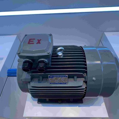 50HZ IE3 Explosion Proof Electric Motors High Efficient With CCC