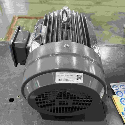 Copper Direct Current DC Motor High Efficient IP55 / 56 / 65