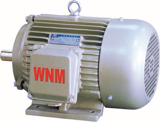 Variable Speed Explosion Proof Electrical Motor For Boosters