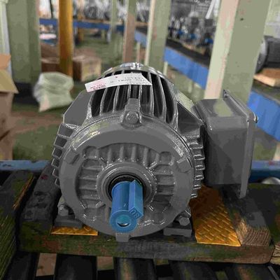 60Hz Explosion Proof Electrical Motor