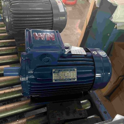 Cast Iron Three Phase Induction variable Electric Motor CE
