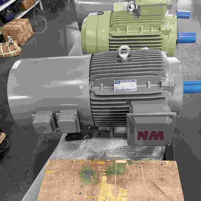 3 Phase Voltage Carbon Steel Variable Speed Electric Motor With CE