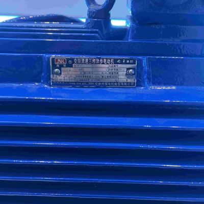 230V Special Electric Motors Vertical Hollow Shaft With NEMA Premium
