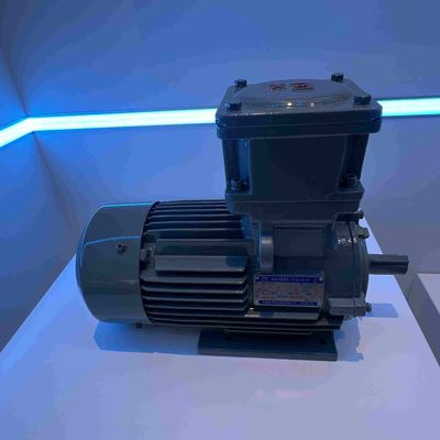 Low Noise High Efficient Low Voltage Electric Motors With CE Certificate
