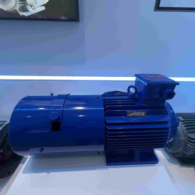 Speed Control Permanent Magnet Synchronous Motors Three Phase Variable Speed