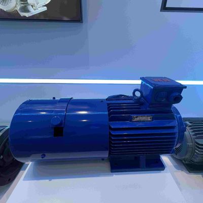 Water Resistant Dust Proof Permanent Magnet Synchronous Motors With GOST
