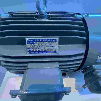 Variable Speed Permanent Synchronous Magnet Motor With NEMA Premium