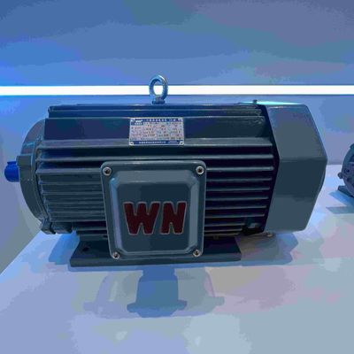 Variable Speed Permanent Synchronous Magnet Motor With NEMA Premium