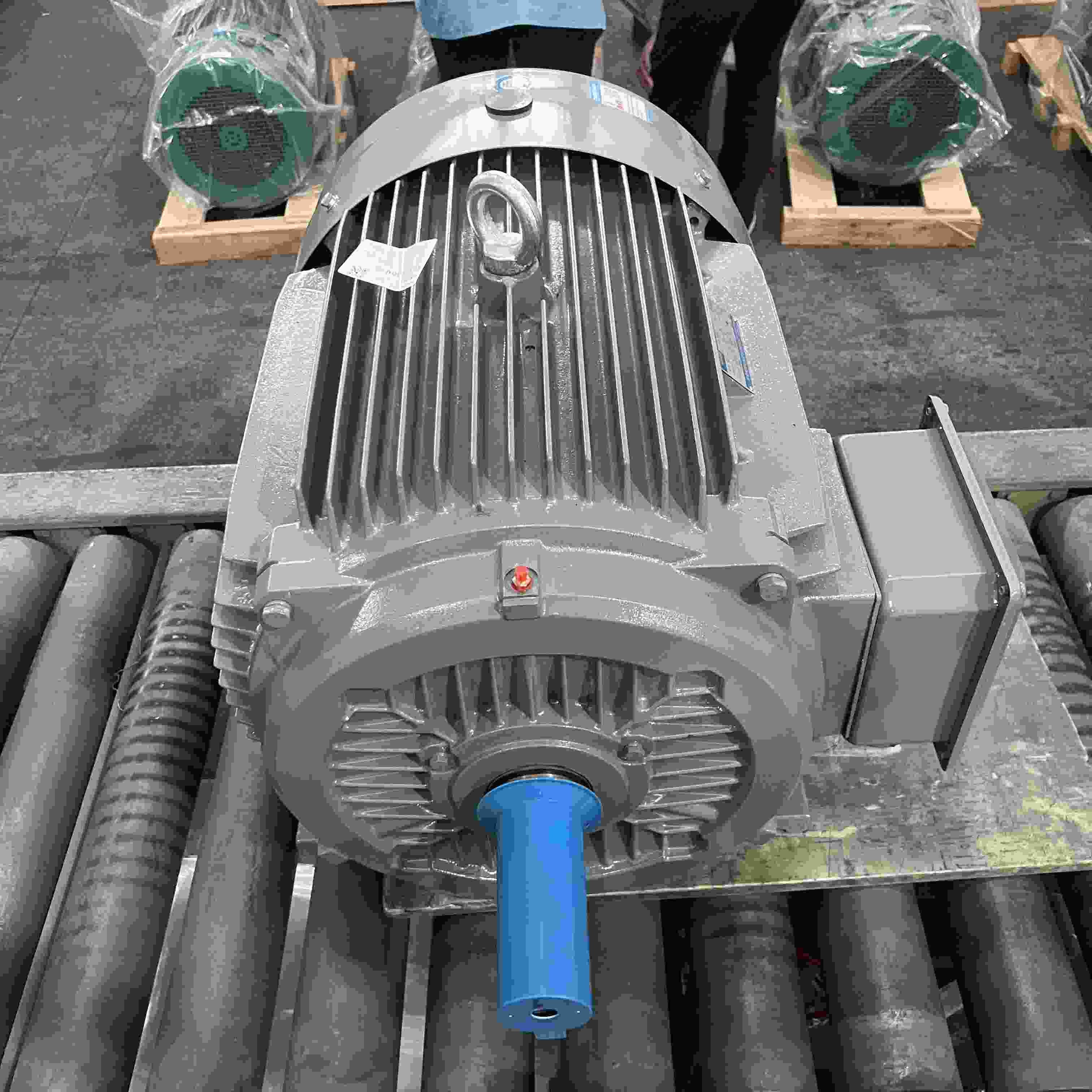 IP65 Three Phase Electric Motors For Pharmaceutical Low Voltage