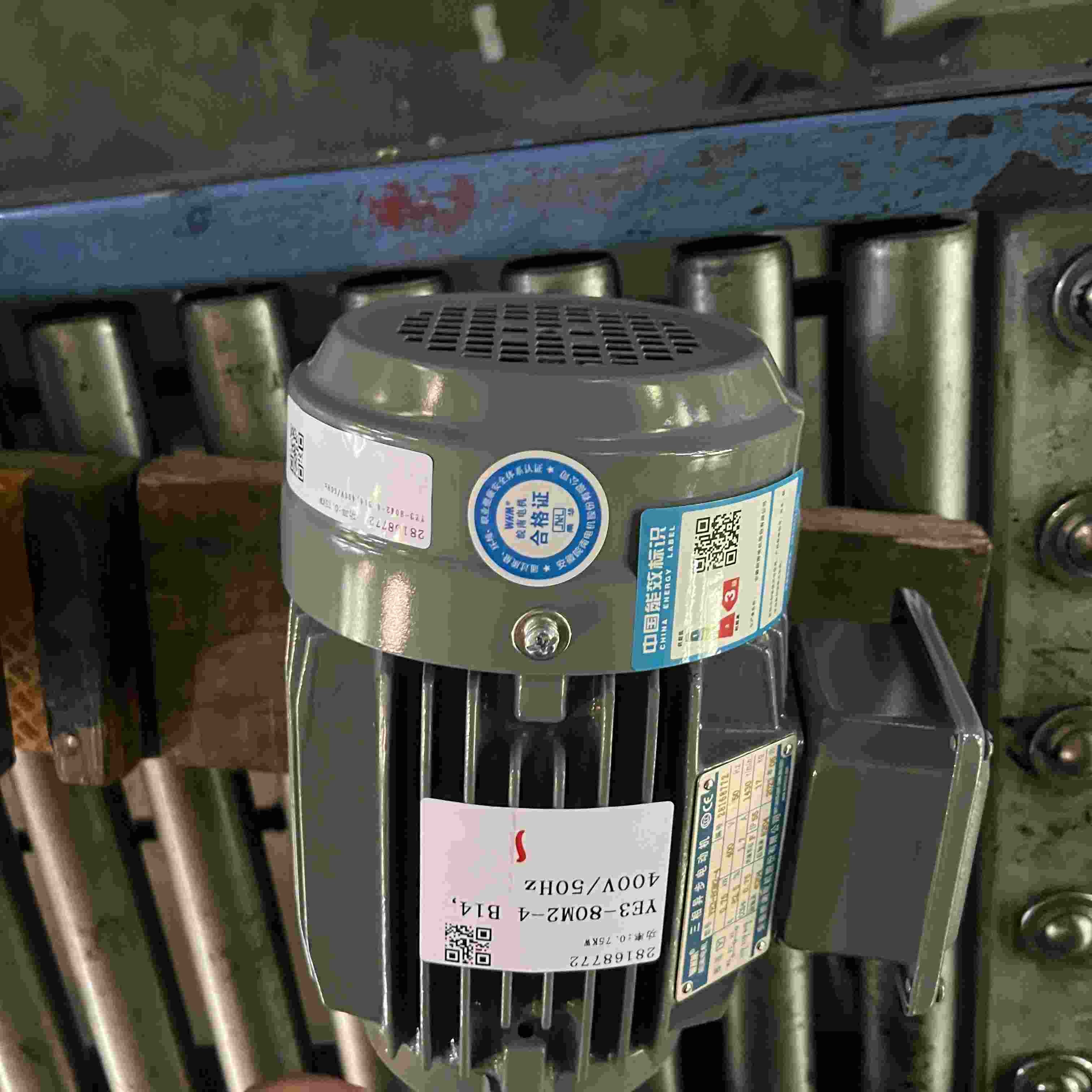 Variable Speed Medium Voltage Induction Motor Three Phase JIS