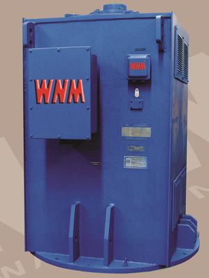 Variable Speed High Voltage Induction Motors 3C 10kv