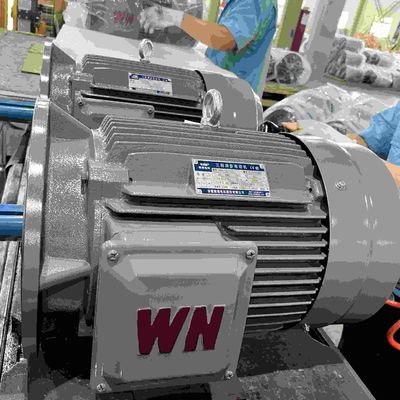 IE5 Variable Speed Electric Motor